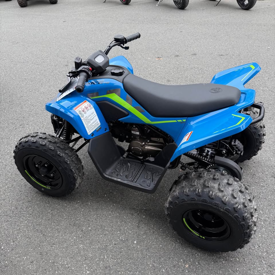 2026 CFORCE 110 CLASSIC - SOLD